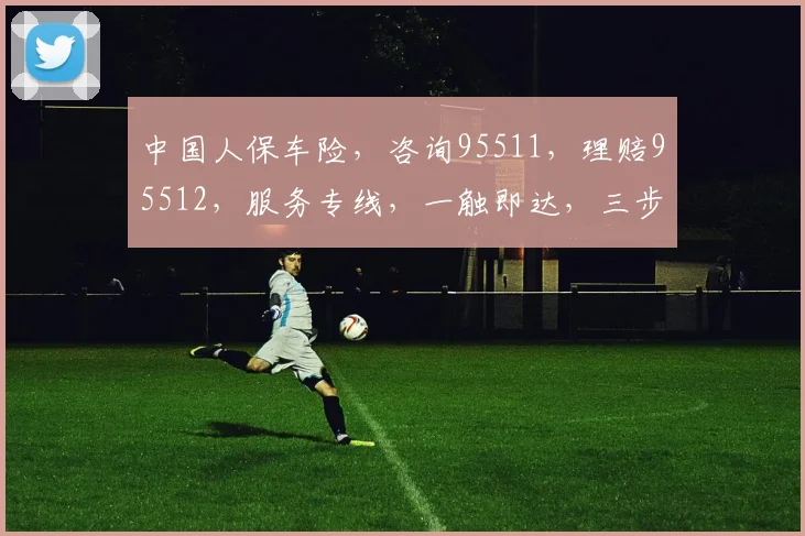 中国人保车险，咨询95511，理赔95512，服务专线，一触即达，三步搞定